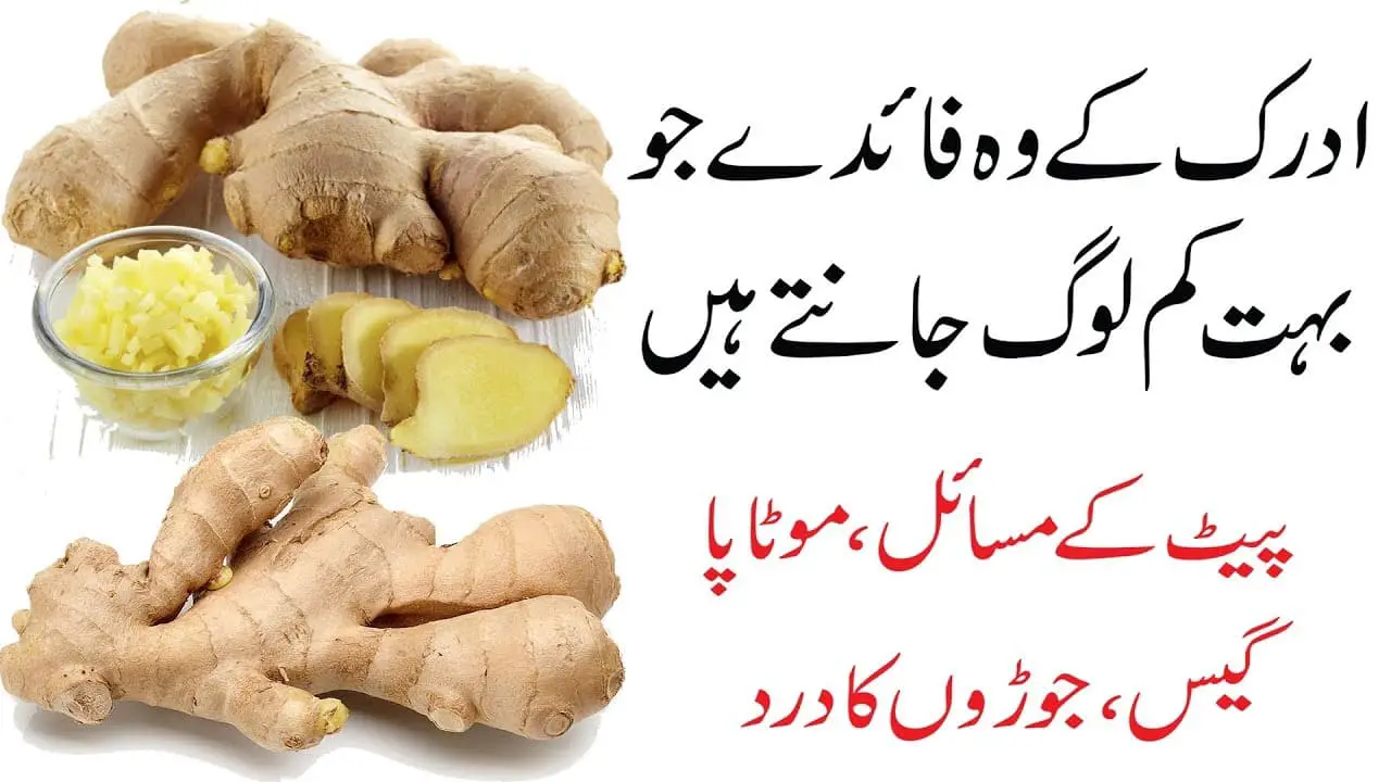 10 Amazing Benefits Of Ginger I Urdu Story Time